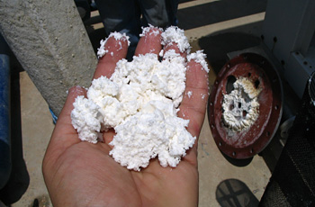 Scale Remover
